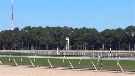 tampa bay downs live streaming races